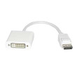 Display Port male to DVI female Adapter (вход DP, выход DVI) ;1