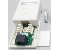 Розетка сетевая в сборе настенная 1 порт, RJ-45 CAT.6 UTP (LAN) 61x49x25,3mm  DataLink;34