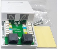 Розетка сетевая в сборе настенная 2 порт, RJ-45 CAT.5e (LAN) 60x62,5x26mm